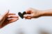 Read more about the article Edit Your Life