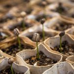 Fresh Start Kickstart